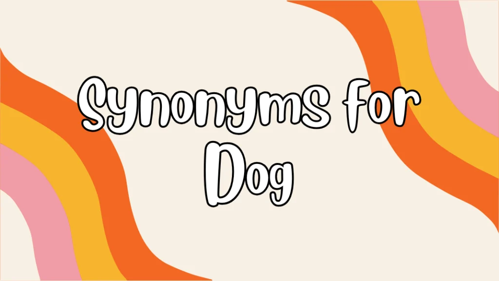 Synonyms for Dog
